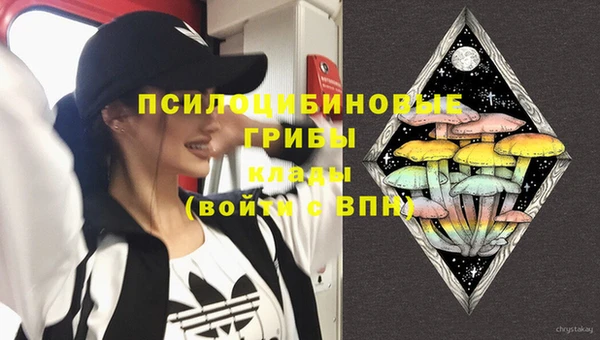 спиды Баксан