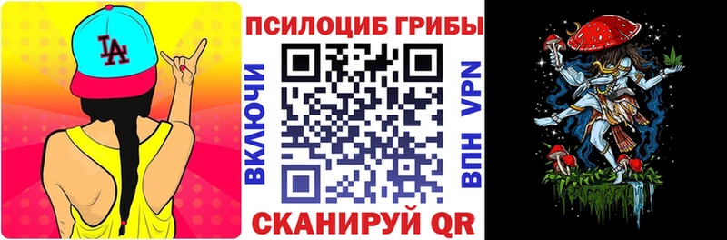 наркошоп  Балтийск  Галлюциногенные грибы Psilocybe 
